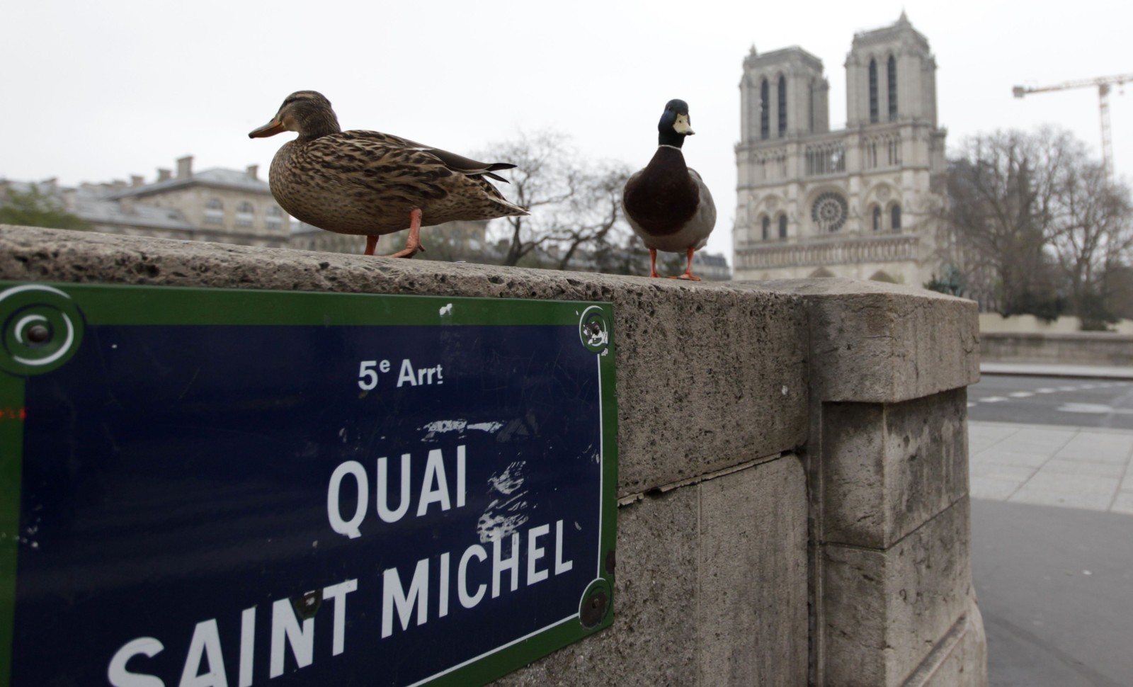 Confinement: la qualité de l’air ne s’est pas améliorée à Paris