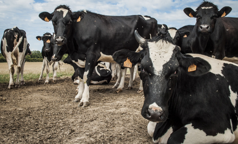 Agriculteurs et Coronavirus, on ne confine pas la terre