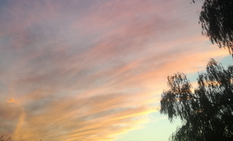 Le quotidien d’un insecte