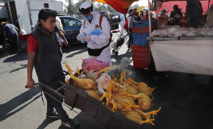 mexique covid corona confinement
