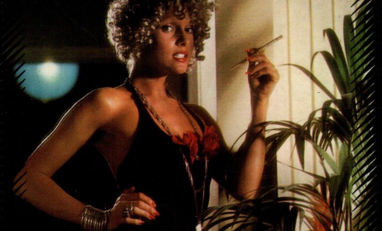 Au temps des couvertures sexplicites…