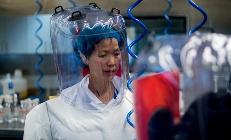 Un pangolin peut en cacher un autre