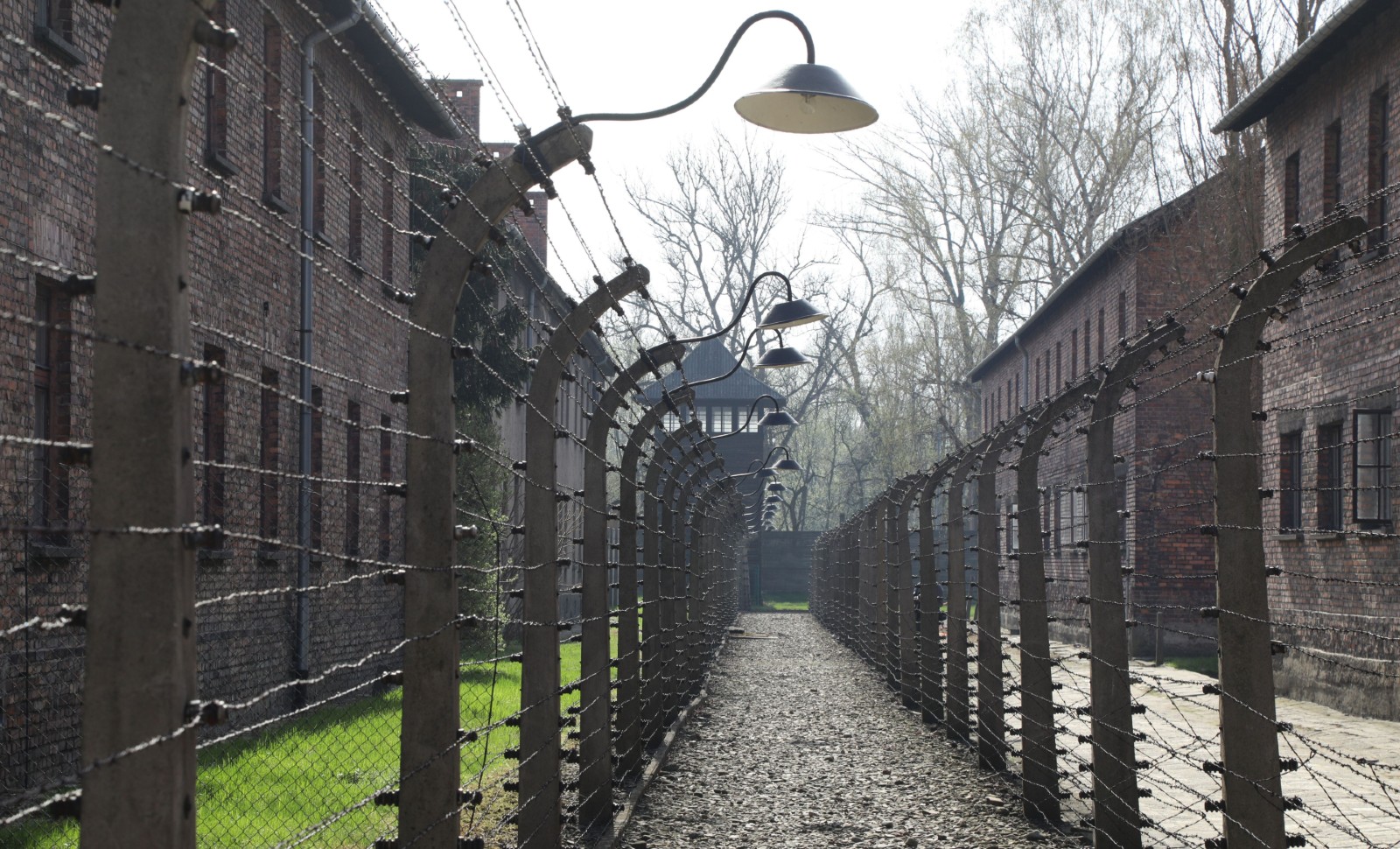 Auschwitz, 80 ans après