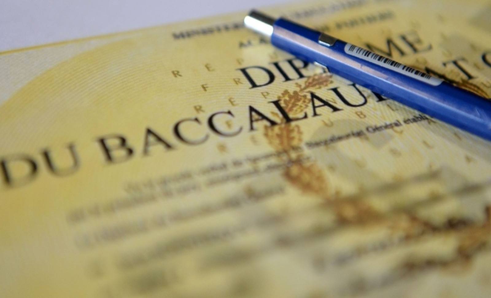 Cher et regretté bac de français