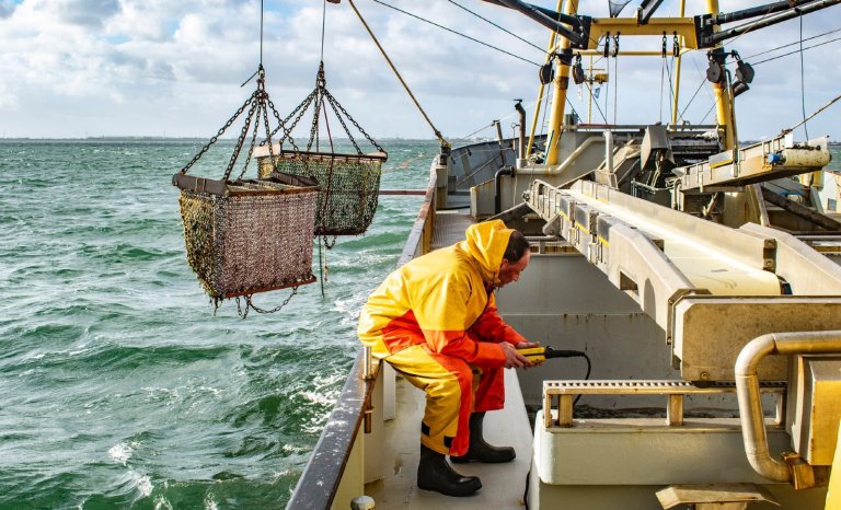 La moule de la discorde