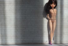 Sociologie pornographique