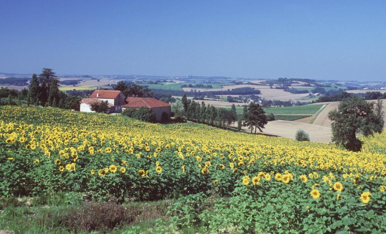 La vie à la campagne