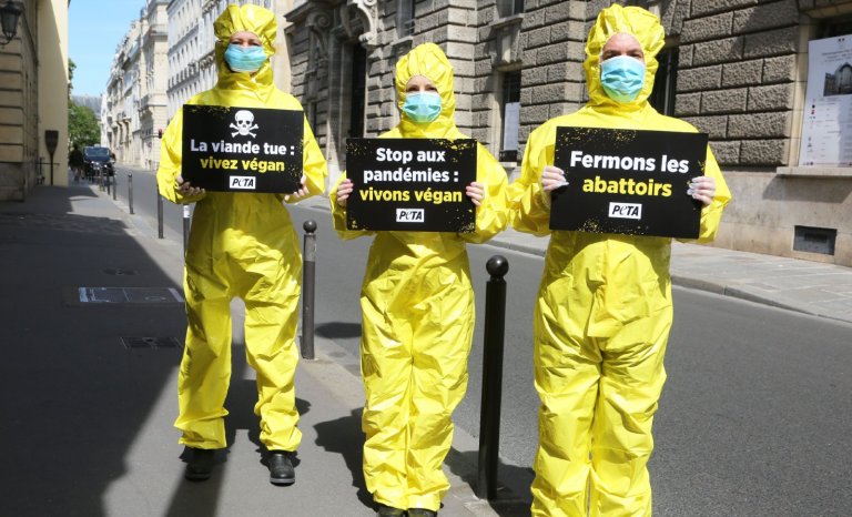 Antispécisme: la nature aura elle aussi sa Réforme