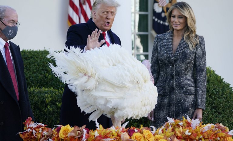 Covid: Non, il n’y a pas eu d’« effet Thanksgiving » !