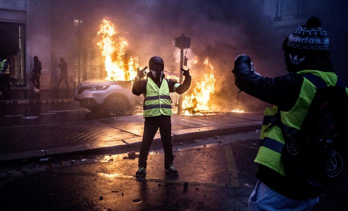 peggy-sastre-genes-psychologie-neurobiologie
