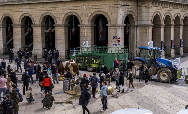 Cantines de Lyon: le bal des faux-culs