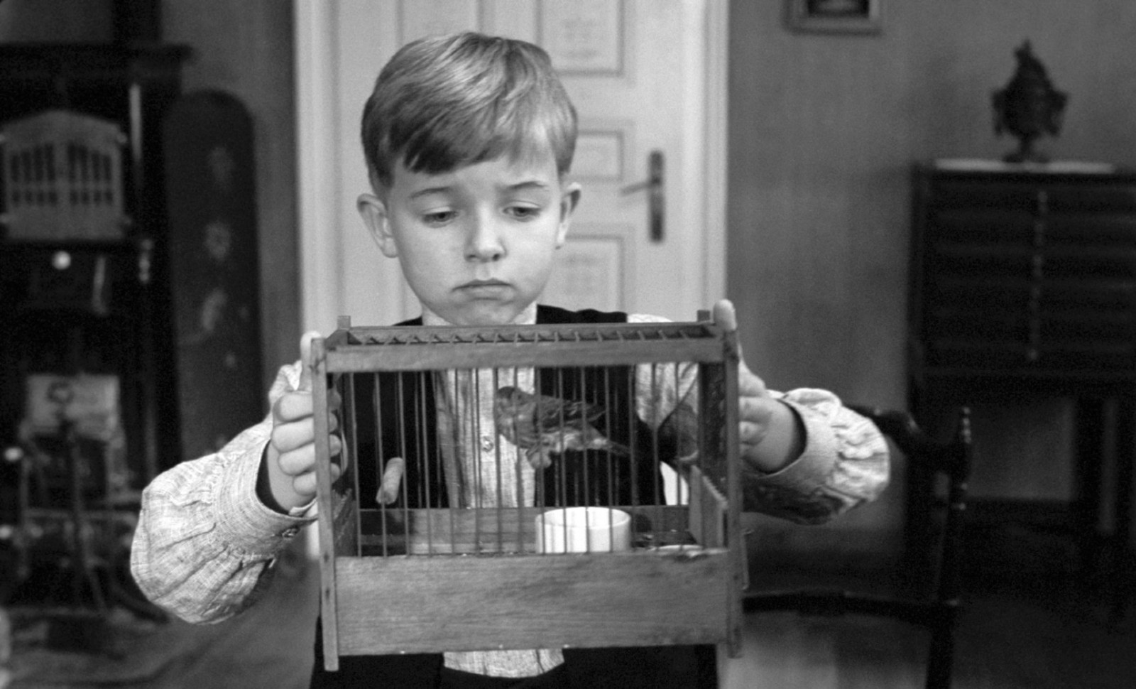 Réflexions… psychopolitiques