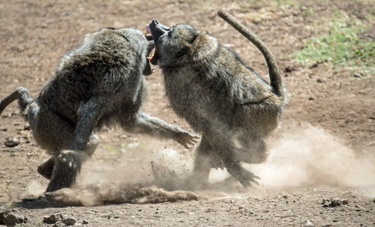 Le relativisme, suicide de la raison