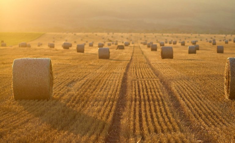 Défendre l’environnement en défendant l’agriculture: c’est possible!