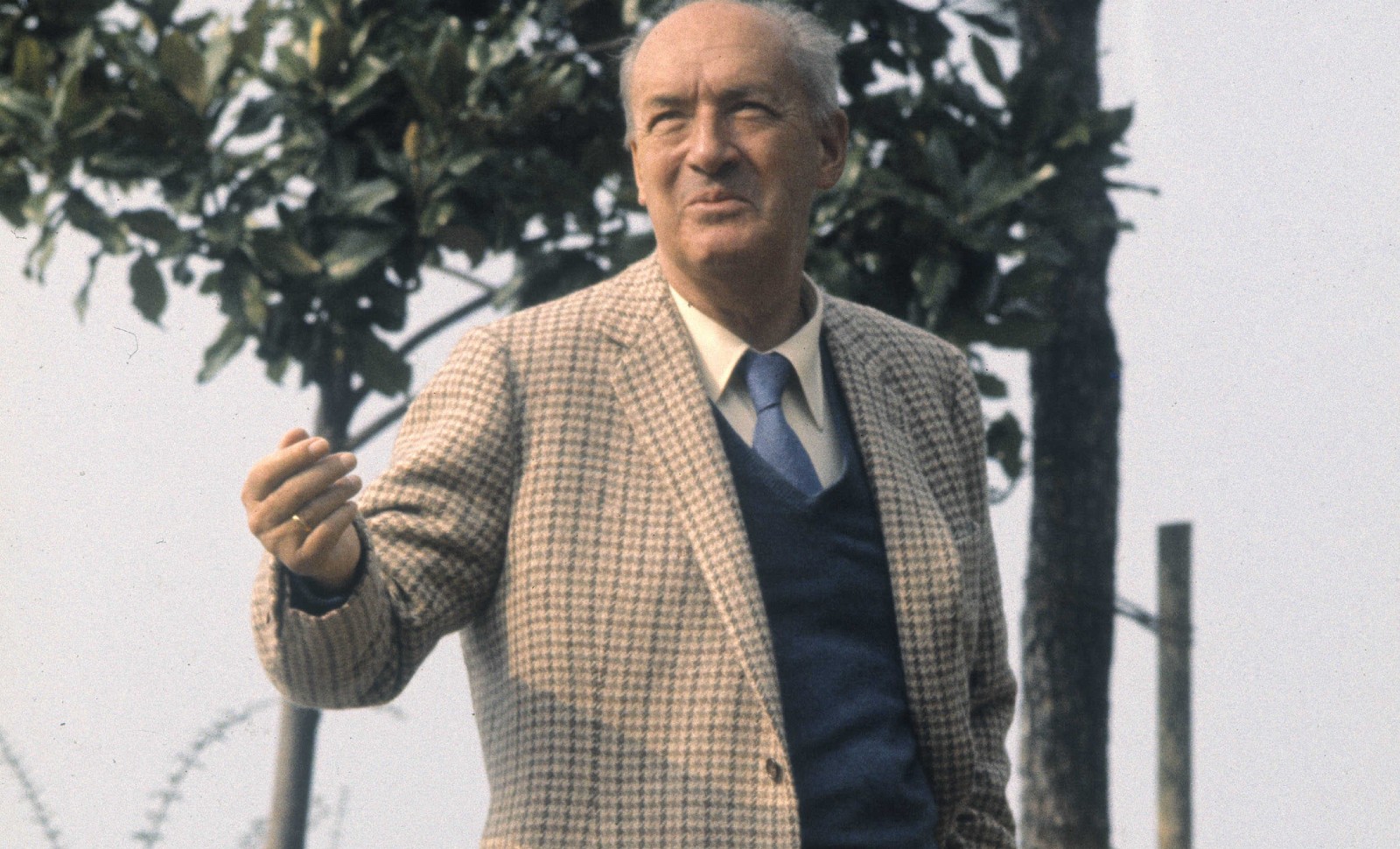 Le mystère Nabokov