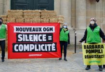 L’Europe postmoderne: sortir de l’Histoire, sortir des technologies