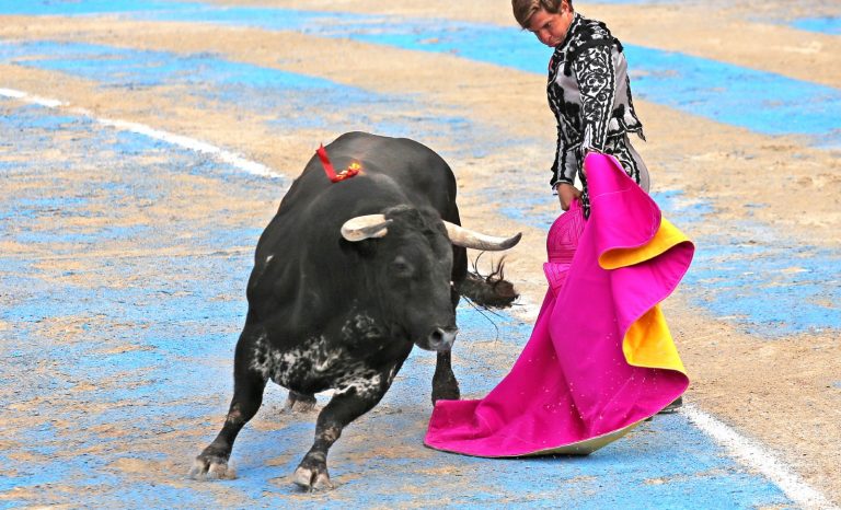 Projet de loi contre la corrida : « C’est une volonté d’anonymation de notre culture ». Entretien avec le député RN, Emmanuel Taché de la Pagerie
