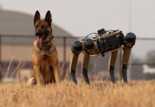 Des chiens robots à la frontière mexicaine