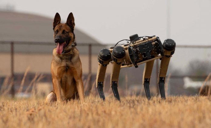 Des chiens robots à la frontière mexicaine
