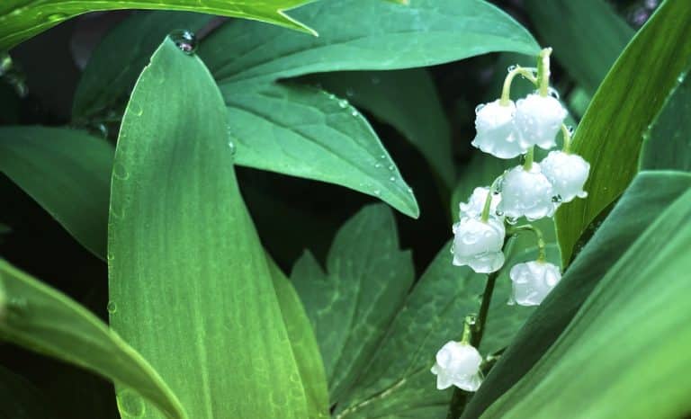 [Vos années Causeur] Famille je vous hais. Un peu