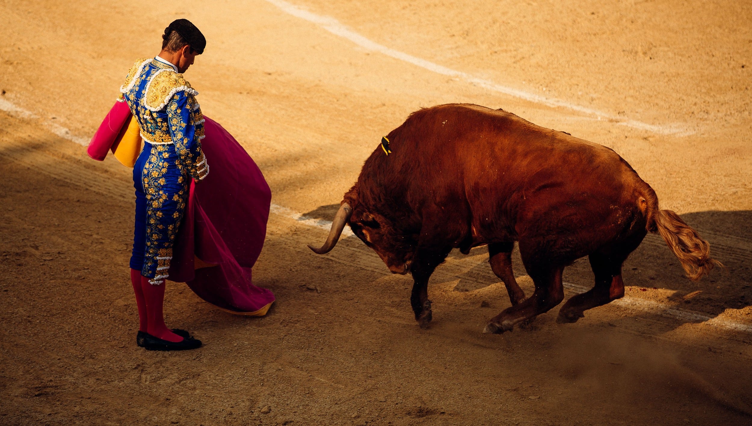 Viva corrida !