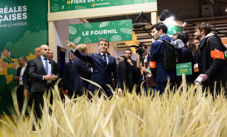 Prisonnier de la vache