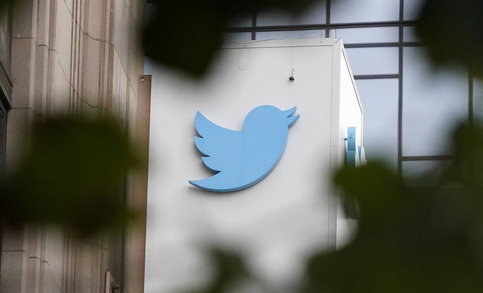 Twitter Files: l’oiseau bleu accusé d’avoir censuré des politiques républicains