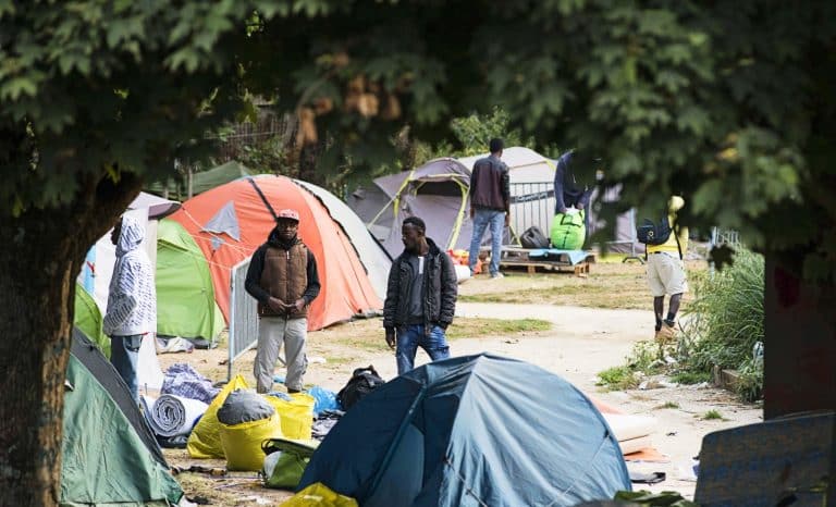 Le migrant est dans le pré