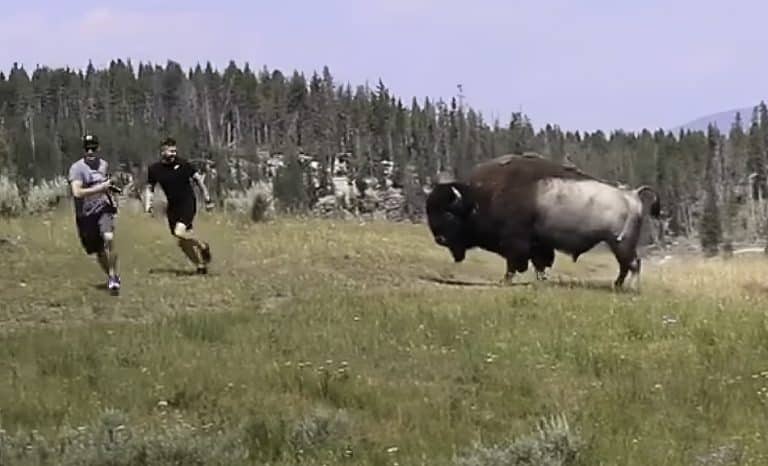 C&rsquo;est à ça qu&rsquo;on les reconnaît!