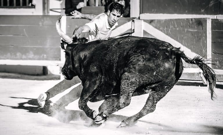 « La course camarguaise, c&rsquo;est une messe! »