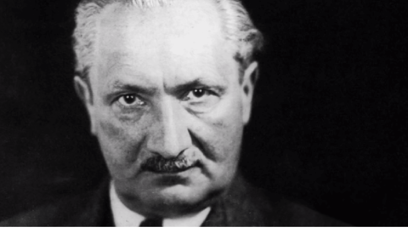 Martin Heidegger : tout contre Adolf Hitler…