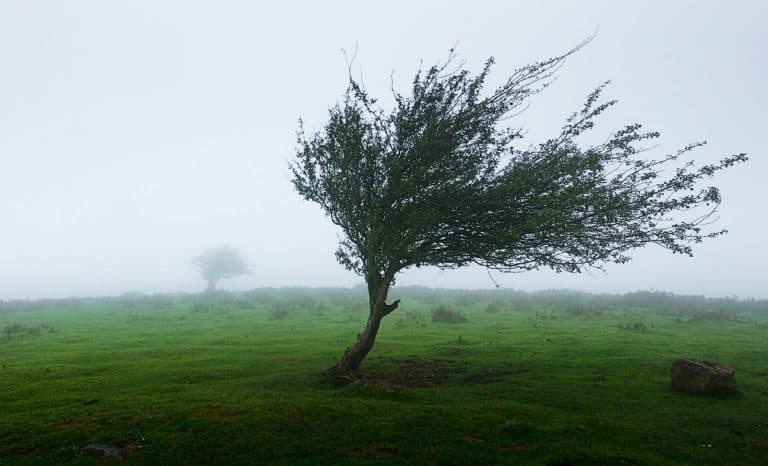 Une « loi Gayssot » contre les climatosceptiques? Vivement demain!