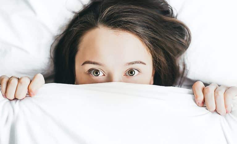 Punaises de lit et rats, pas le même combat