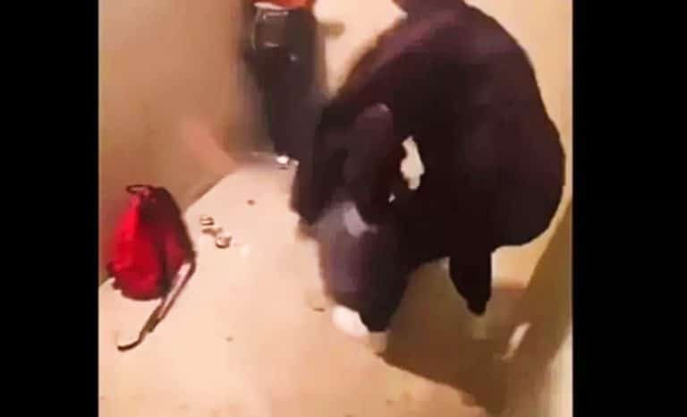 Agression d’une ado à Lyon: Oh comme c’est bizarre…