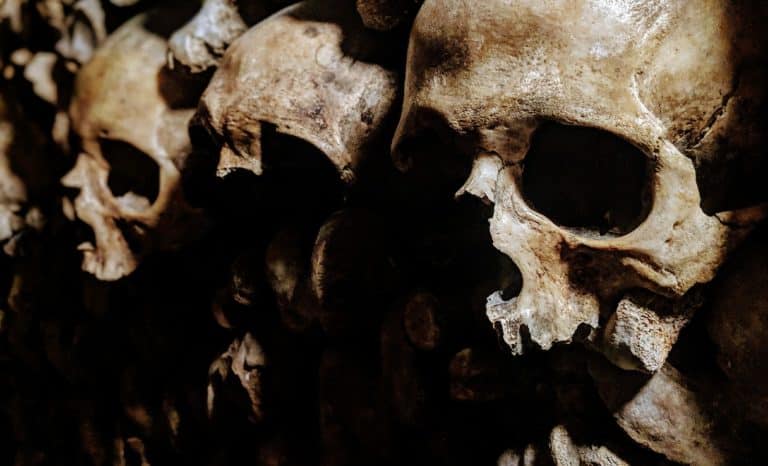 À Paris, les morts peuvent attendre