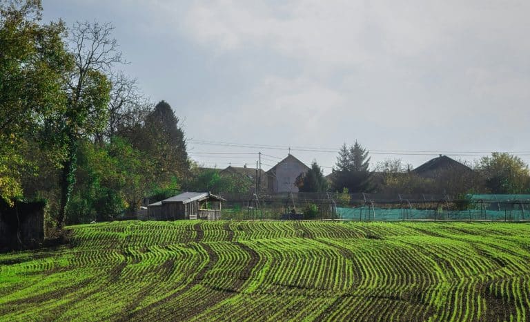 Décadence du ventre