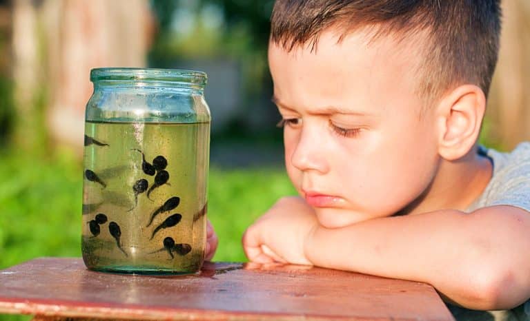 L&rsquo;avortement ou la lâcheté des hommes