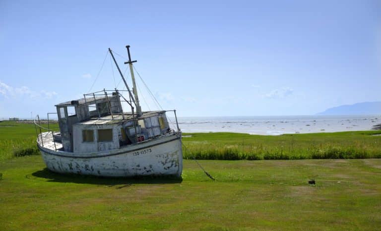 Quand des Québécois veulent être Français de nouveau