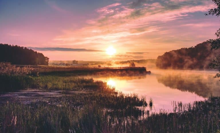 Ce matin, j’ai vu un surfeur