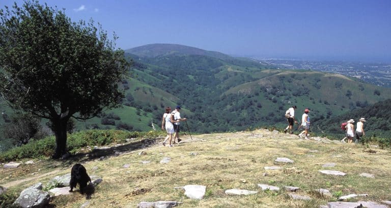 « Shibumi », de Trevanian: l’art de tuer avec une paille et un makila