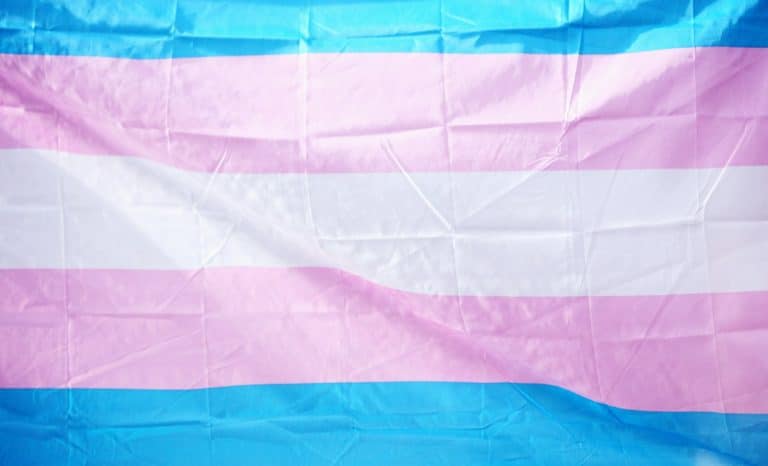 Bisounours queers vs Bad travelos