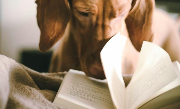 selection-livres-noel