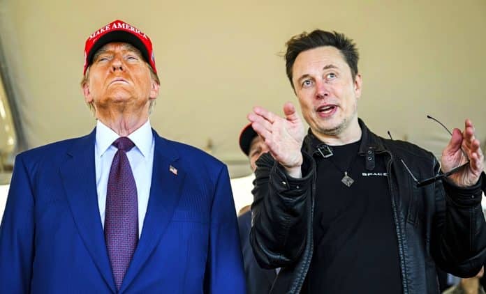 trump-musk