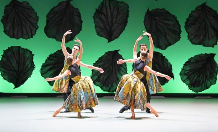 choregraphie-les-saisons