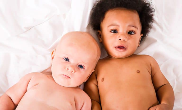 La science qu&rsquo;on abat