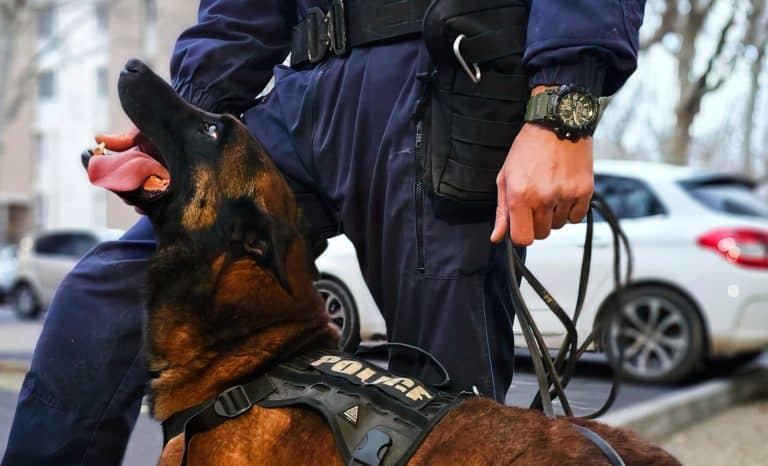 Nyx a encore frappé…