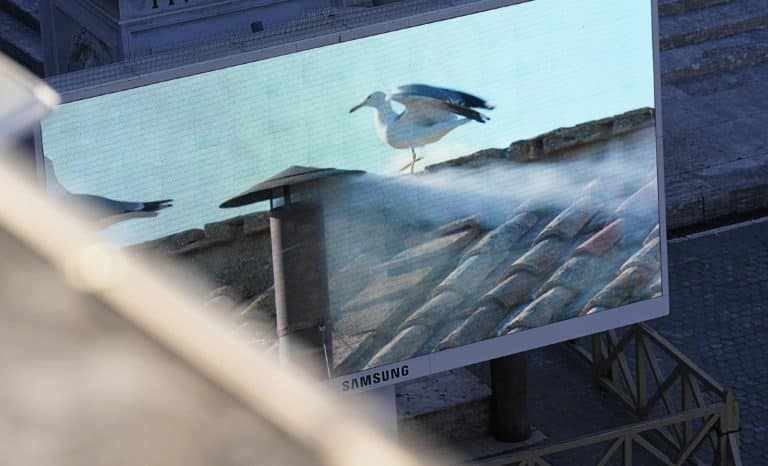 Le syndrome du goéland