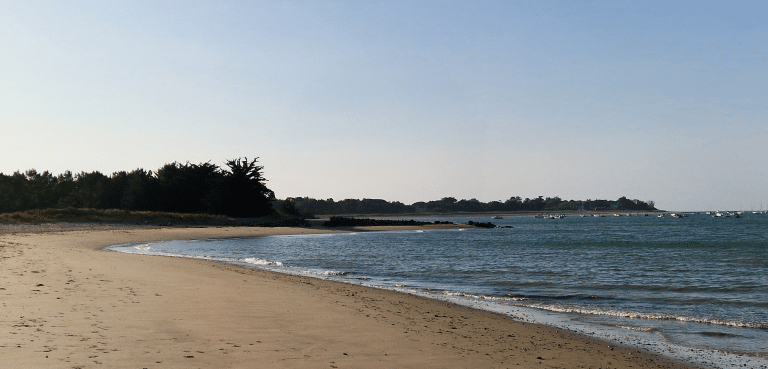 A Ré, un bain de musique après le bain de mer