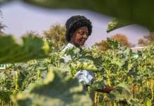 Une bouchée à la fois