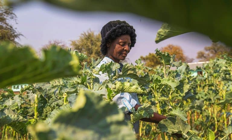 Une bouchée à la fois